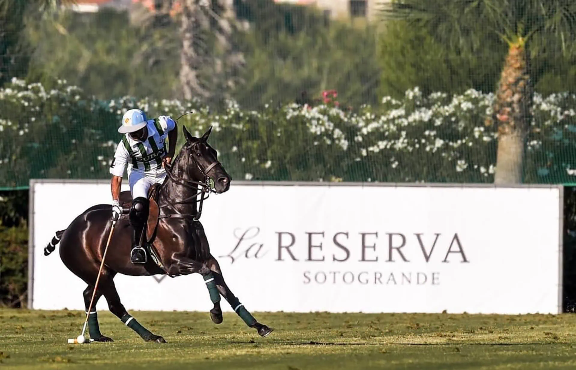 polo player riding a horse in action at La Reserva Sotogrande polo field