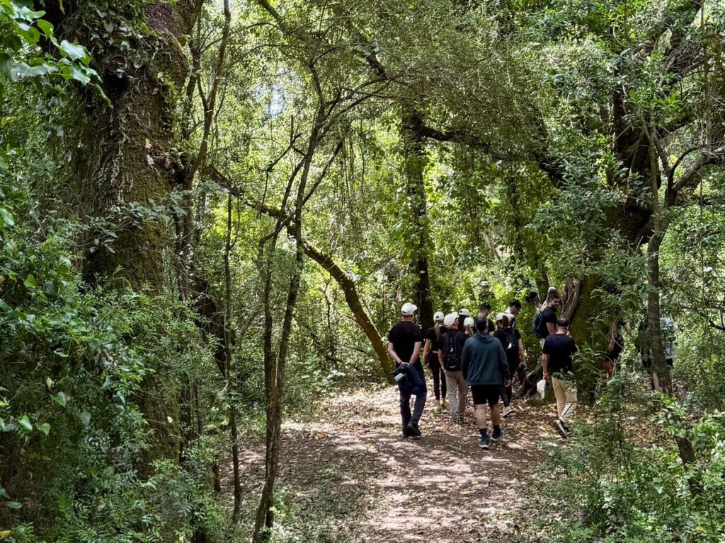 Ark-architects-team building
